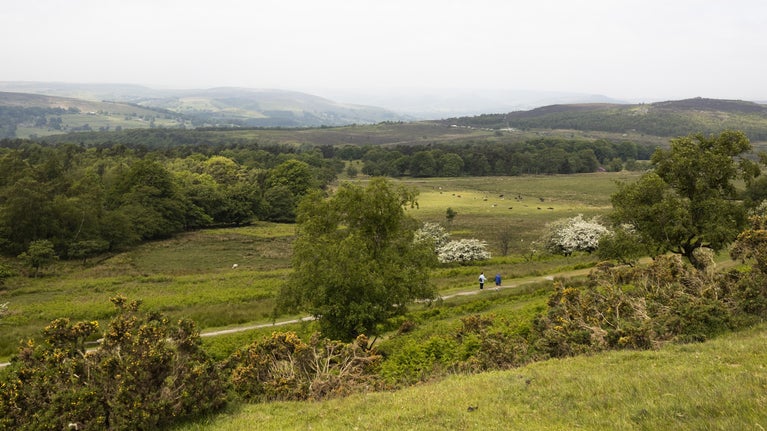 A view from a hill looking over grasslands and woodlands and across the hilly landscape of the Peak District